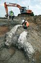 The excavation of the Southfleet elephant   © Rail Link Engineering