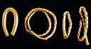 Middle bronze age gold torcs from the River Medway at Aylesford   © Kent County Council
