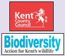 KCC Biodiversity: action for Kent's wildlife logo