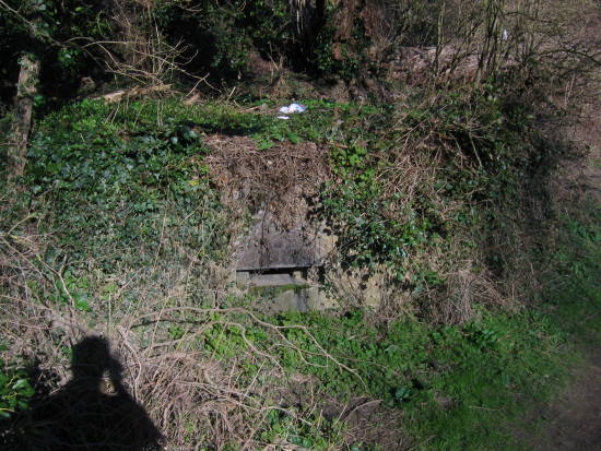 Overgrown pillbox close to Farleigh Bridge   © Kent County Council